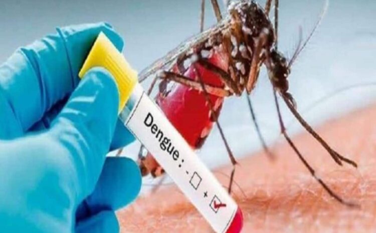  सावधान ! उत्तराखंड में डेंगू के बढ़ते मरीजों ने बढ़ाई चिंता
