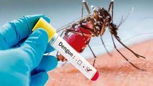 नैनीताल के लालकुआं क्षेत्र में बढ़ रहे डेंगू का मामले, स्वास्थय विभाग की बढ़ी चिंता