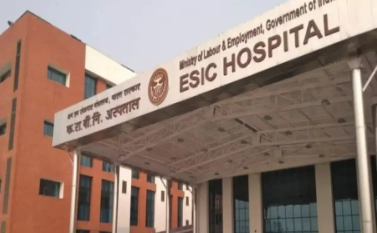 ESIC Recruitment 2025: ईएसआईसी मेडिकल कॉलेज, इंदौर में 113 पदों पर भर्ती, वॉक-इन इंटरव्यू 26 मार्च को