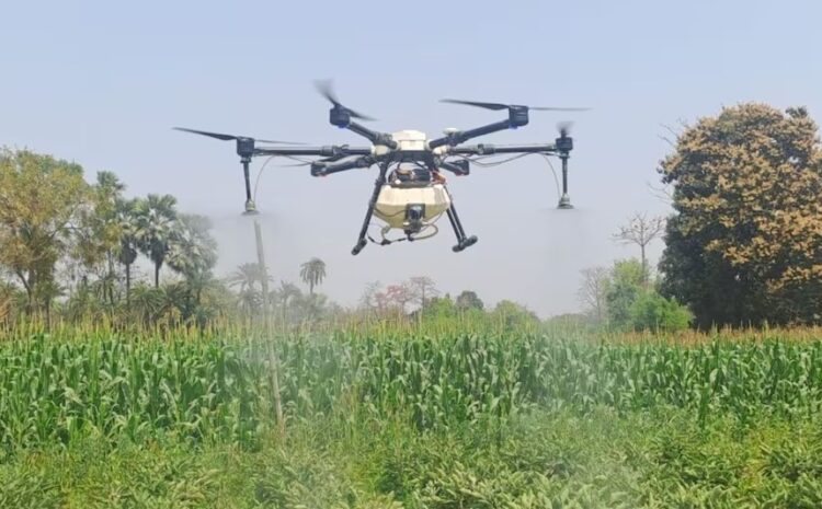 Agriculture: ड्रोन तकनीक से कीटनाशक छिड़काव, कृषि में क्रांति, किसानों को मिलेगी सब्सिडी