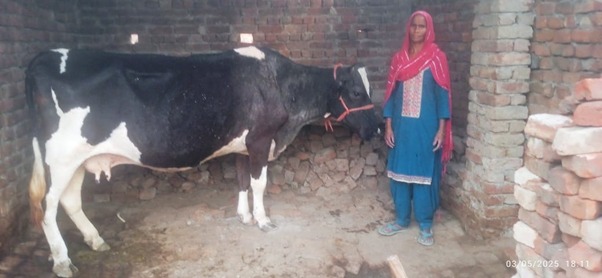 Mamta Devi Story: ग्राम सिकंदरपुर की ममता देवी बनी आत्मनिर्भरता की मिसाल, ग्रामोत्थान परियोजना से बदली तकदीर
