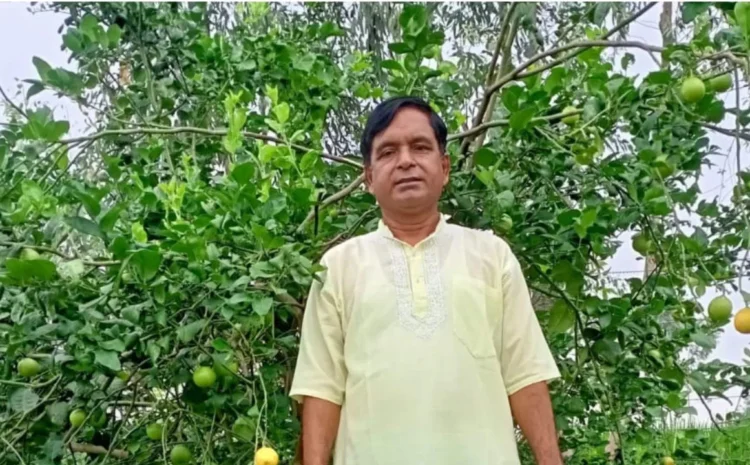 Success Story: कॉरपोरेट जॉब छोड़ बने ‘लेमन मैन’, आनंद मिश्रा की टेक्निकल खेती से लाखों की कमाई