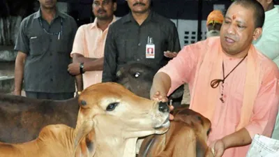 Uttar Pradesh livestock scheme: यूपी सरकार की प्रगतिशील पशुपालक प्रोत्साहन योजना, गाय पालकों को मिलेगा 15 हजार रुपए का लाभ