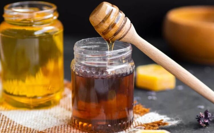  Bihar Honey Production: बिहार शहद उत्पादन में बना देश का चौथा सबसे बड़ा उत्पादक राज्य, वार्षिक उत्पादन 18,030 मीट्रिक टन