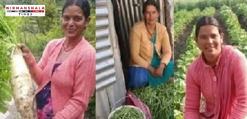  Teelu Rauteli Award: पौड़ी गढ़वाल की रोशमा देवी को तीलू रौतेली पुरस्कार, आत्मनिर्भरता की मिसाल बनीं ग्रामीण महिला
