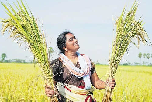 Female Farmers Empowerment: गुंटूर की मीराबी ने प्राकृतिक खेती से बदल दी 230 महिला किसानों की जिंदगी