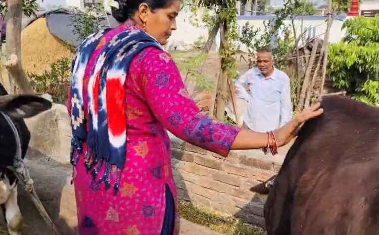  Uttarakhand Dairy Success: धामी सरकार की पहल, कुल्हा डेयरी समिति को राष्ट्रीय गोपाल रत्न पुरस्कार 2025