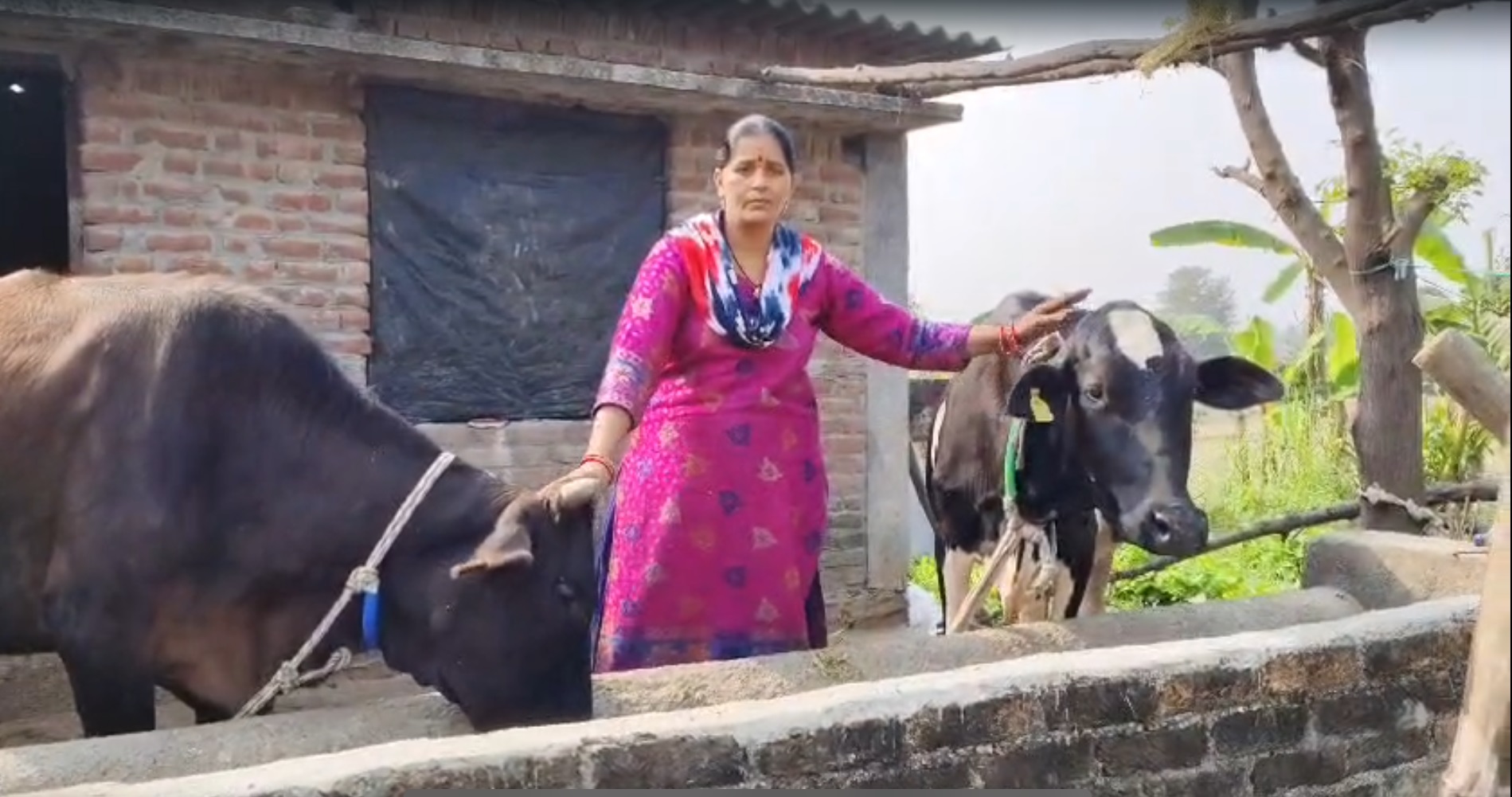 Uttarakhand Dairy Success: धामी सरकार की पहल, कुल्हा डेयरी समिति को राष्ट्रीय गोपाल रत्न पुरस्कार 2025 1 C 2