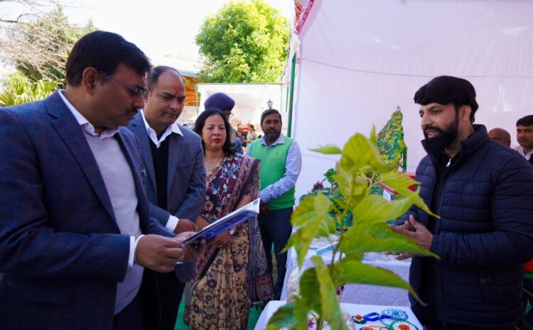  Champawat Development Review: मुख्य सचिव आनंद बर्द्धन ने चम्पावत में विकास योजनाओं की समीक्षा, “एक पेड़ माँ के नाम” अभियान का शुभारम्भ